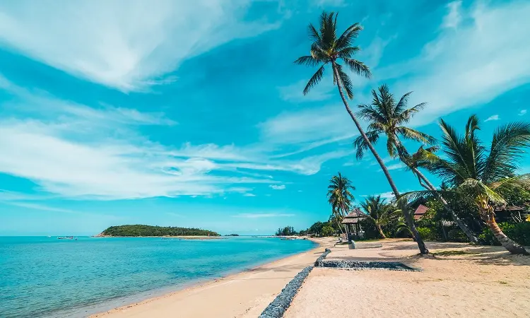Best Time to Visit North Goa: The Ultimate Guide