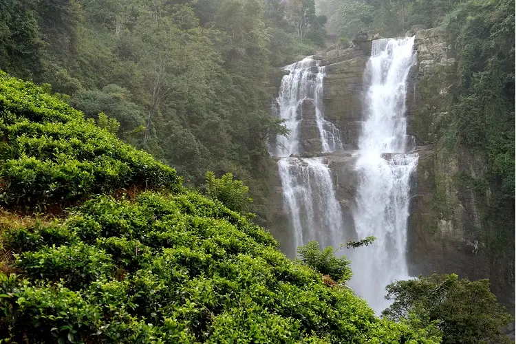 A Panoramic Trek to the Waterfalls